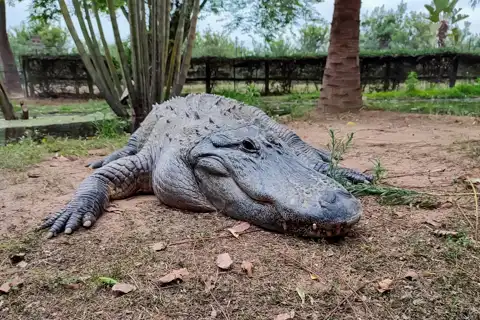 © The Guys - Professional Photographers & Designers - www.theguys.co.za