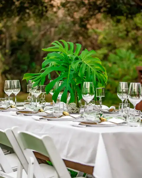 Bushbaby Valley Lodge