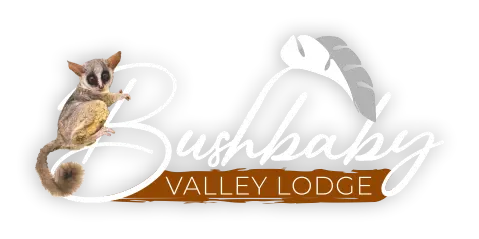 Bushbaby Valley Lodge