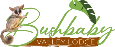 Bushbaby Valley Lodge