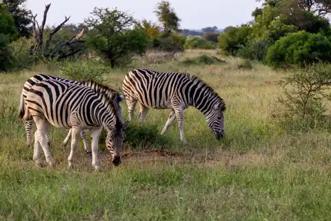 © The Guys - Professional Photographers & Designers - www.theguys.co.za