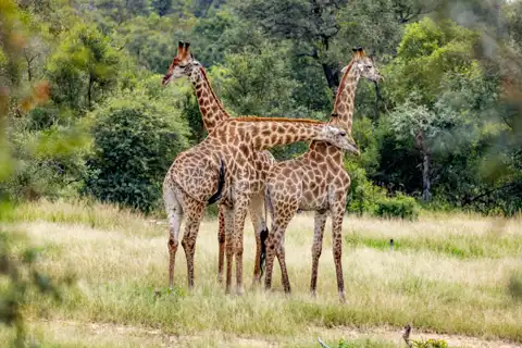 © The Guys - Professional Photographers & Designers - www.theguys.co.za