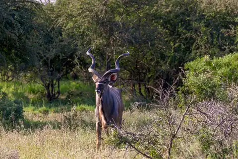 © The Guys - Professional Photographers & Designers - www.theguys.co.za