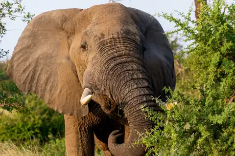 © The Guys - Professional Photographers & Designers - www.theguys.co.za